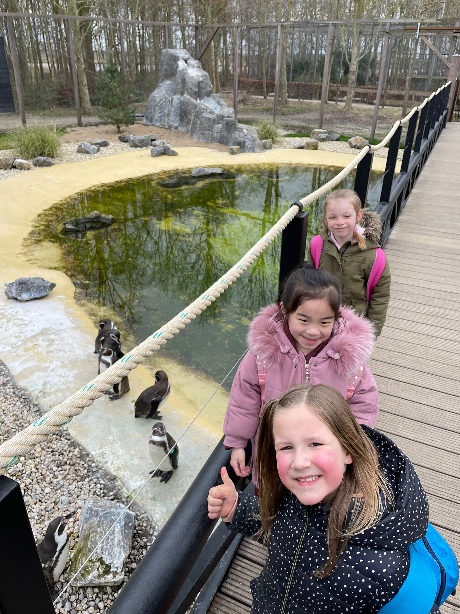 Thema afsluiting Hoenderdaell 🦩