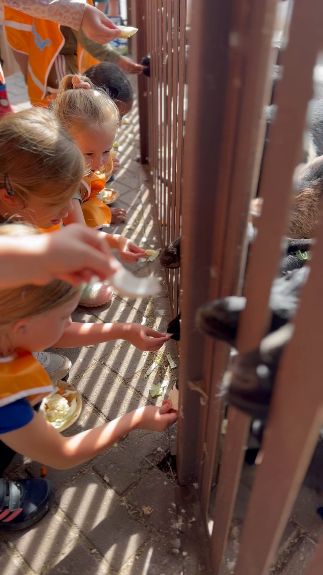 Uitje Helderse Vallei 👨‍🌾 