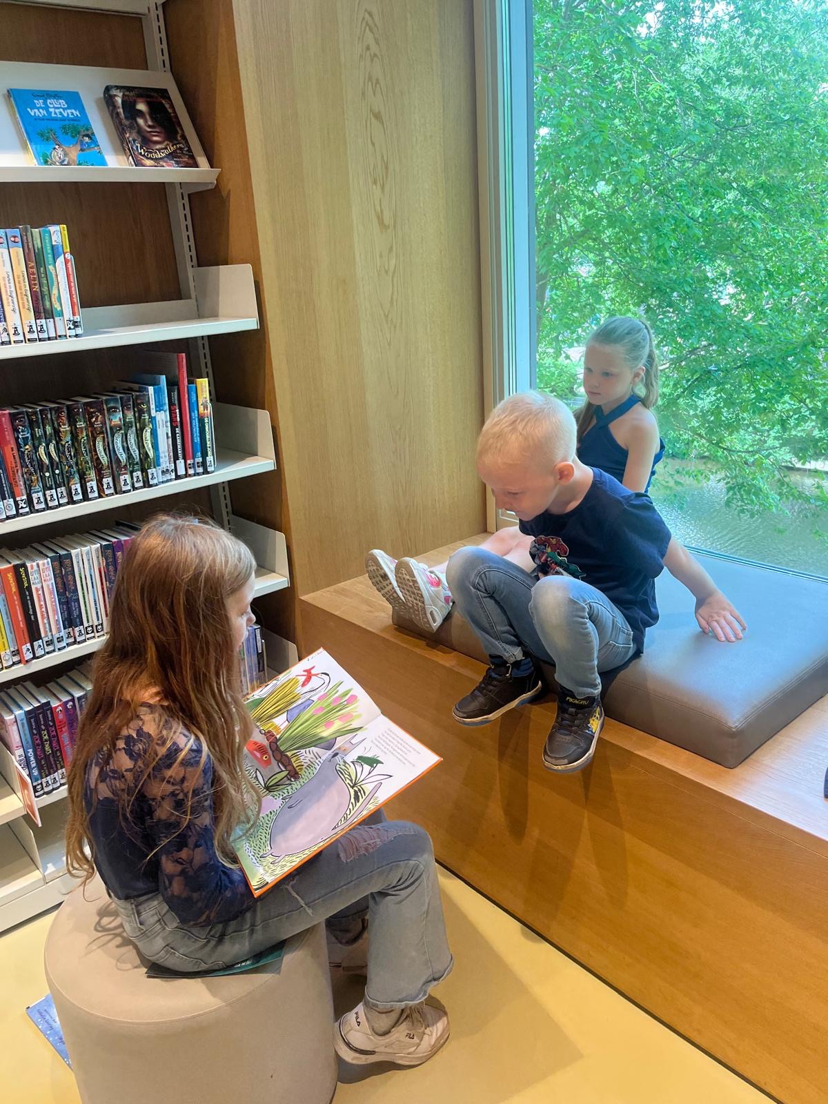 Naar de bibliotheek 